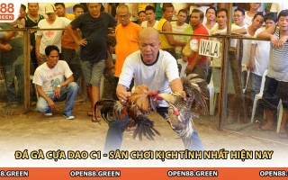Đá Gà Cựa Dao C1 - Sân Chơi Kịch Tính Nhất Hiện Nay