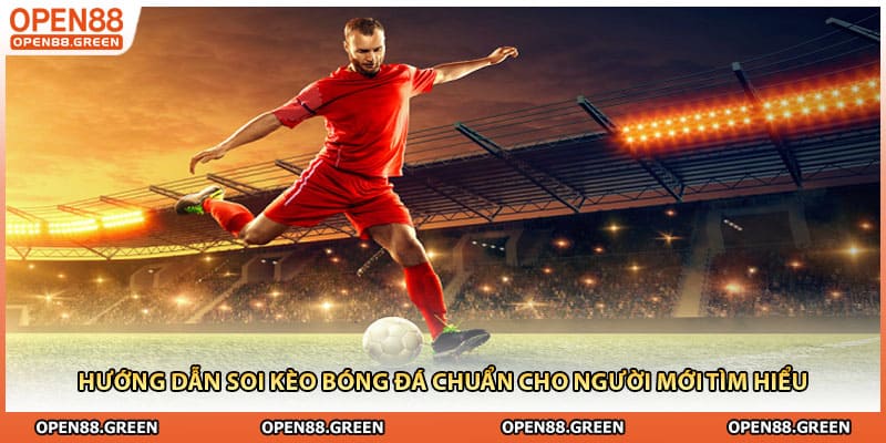 Hướng dẫn soi kèo bóng đá chuẩn cho người mới tìm hiểu